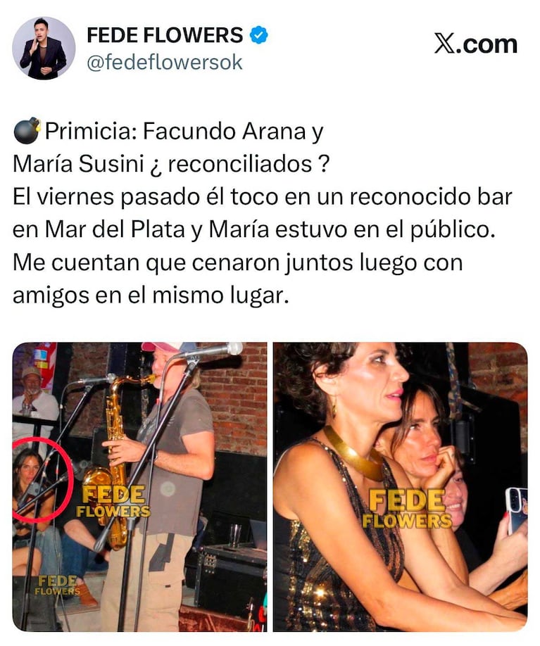 Las fotos de María Susini viendo a Facundo Arana en un show en Mar del Plata (Foto: X/ @fedeflowers)