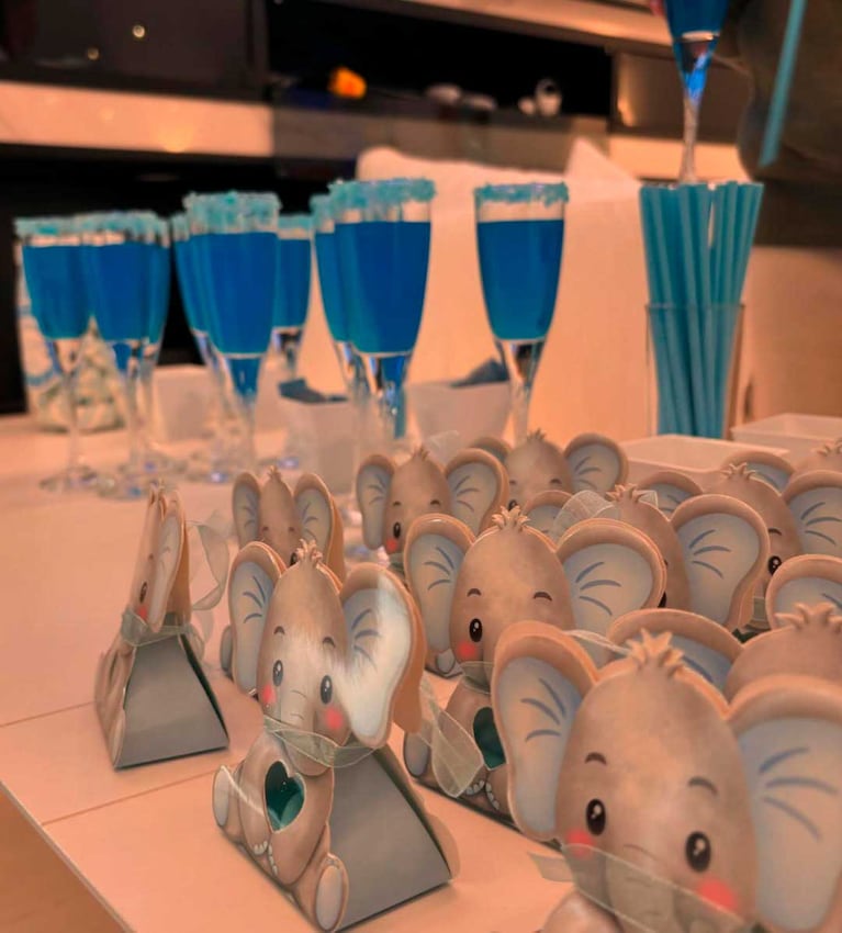 Las fotos del baby Shower de Leo Paredes y Camila Galante (Foto: Instagram @ccamilagalantee)