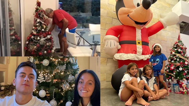 Las fotos más lindas de los famosos armando el arbolito de Navidad.