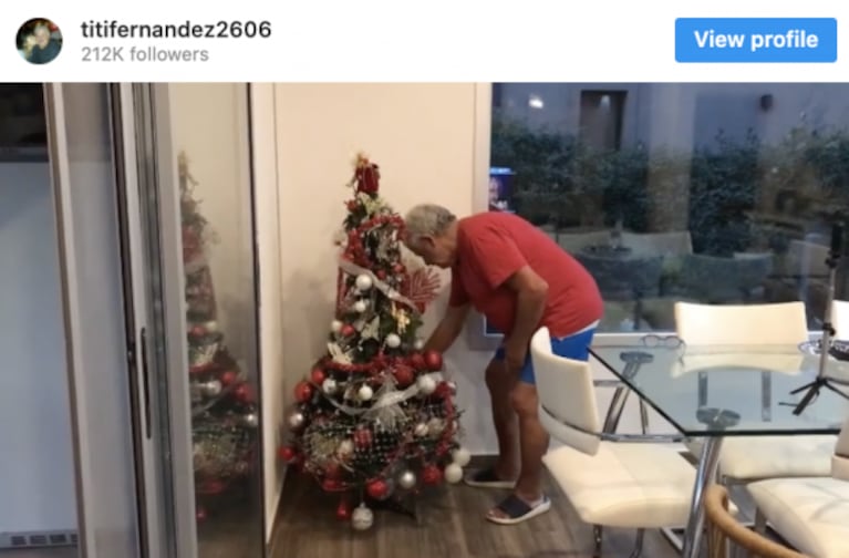 Las fotos más lindas de los famosos armando el arbolito de Navidad