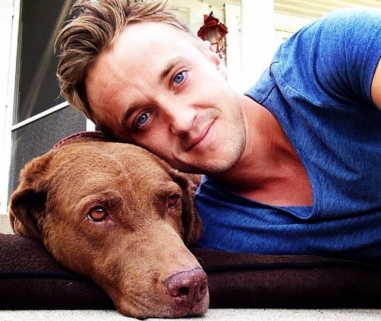 Las imágenes más populares y comentadas de Tom Felton en Instagram   
