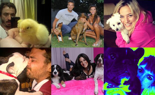 Las mascotas de los famosos (Foto: Twitter).