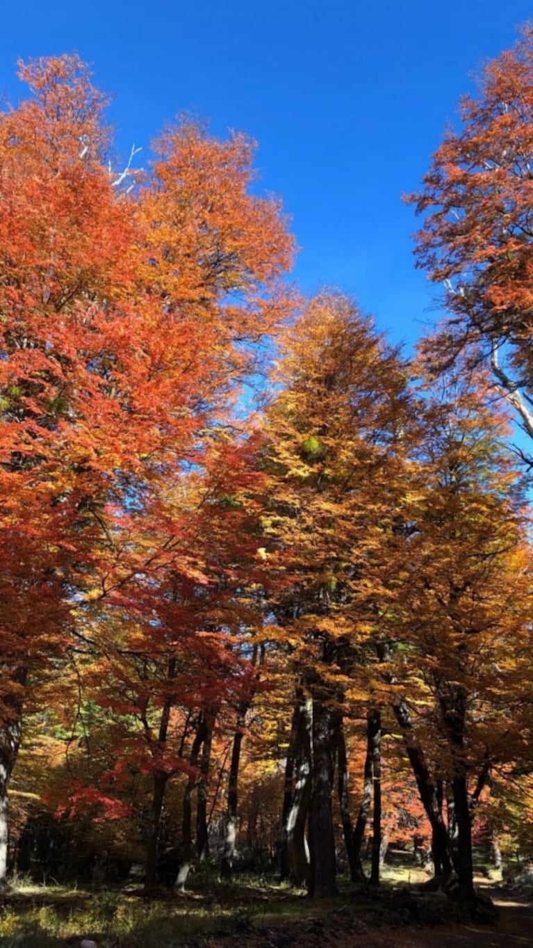 Las postales otoñales de Marcelo Tinelli y Guillermina Valdés en Esquel: "Acuarela de colores" 