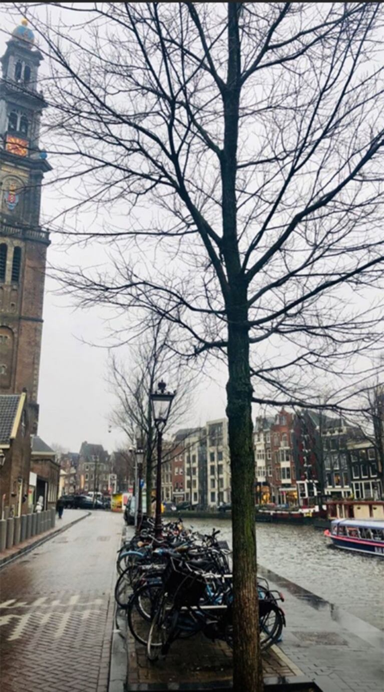 Las románticas vacaciones de Marcelo Tinelli y Guillermina Valdés en Amsterdam: el álbum íntimo de su viaje