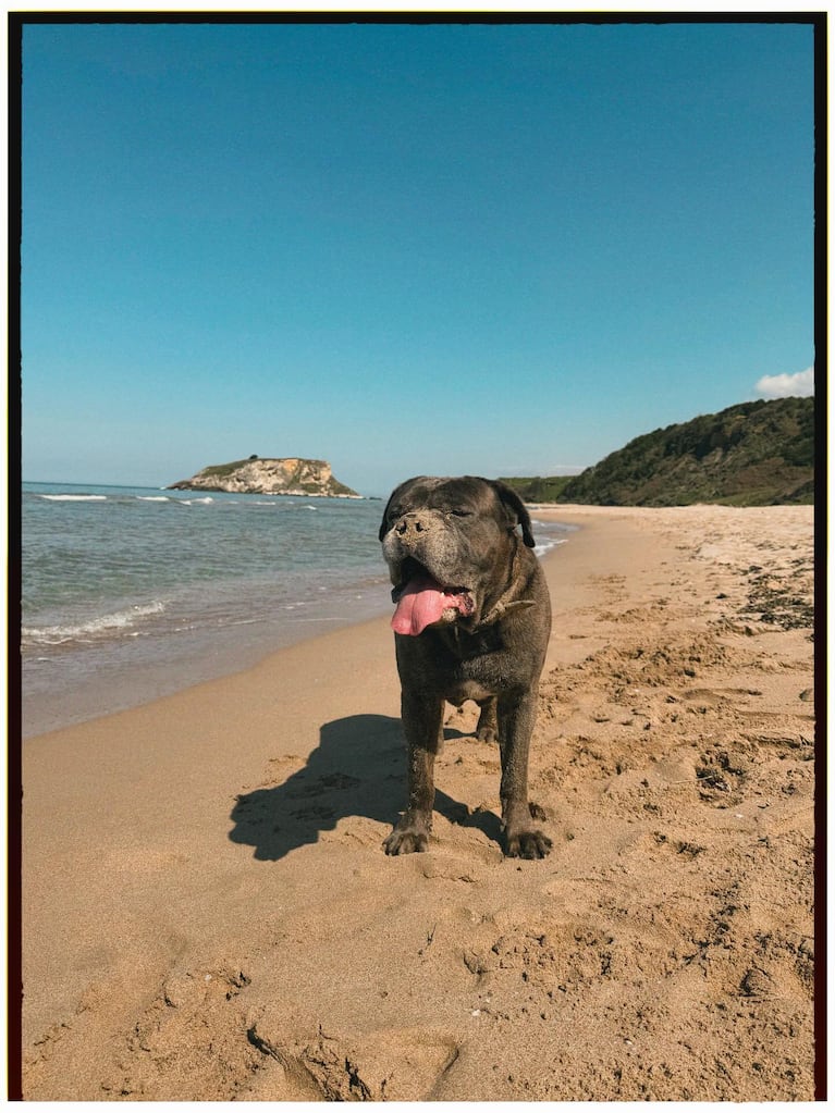 Las vacaciones de la China Suárez y Mauro Icardi con su mascota: fotos y videos en las playas turcas | Créditos: Instagram @mauroicardi