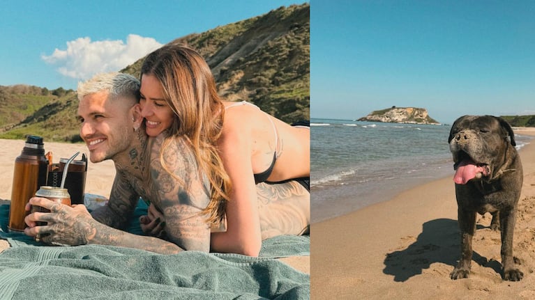 Las vacaciones de la China Suárez y Mauro Icardi con su mascota: fotos y videos en las playas turcas | Créditos: Instagram @mauroicardi