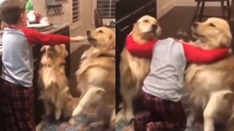 Le pidió que se quedara a cuidar a sus mascotas y se enteró que era un encantador de perros