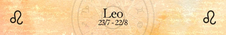 leo imagen