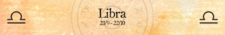 libra imagen