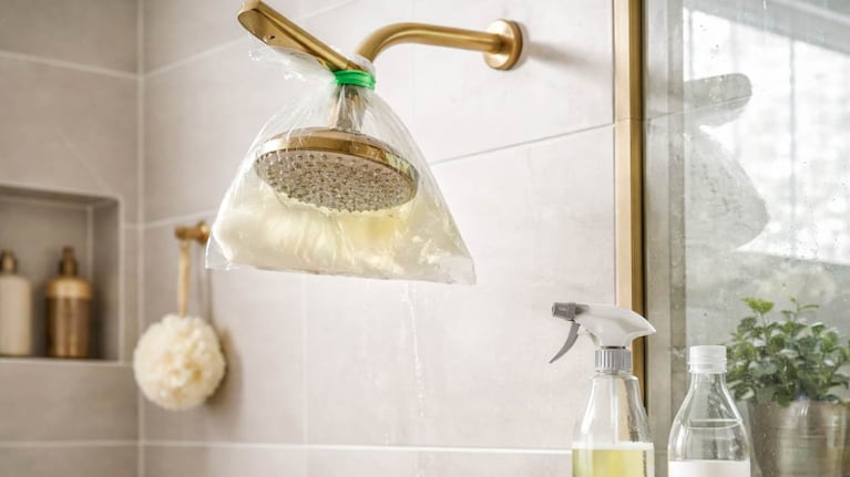 Limpiar la ducha con vinagre, un truco casero que se impone en las redes. Foto: IA
