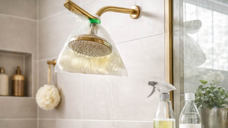Limpiar la ducha con vinagre, un truco casero que se impone en las redes. Foto: IA