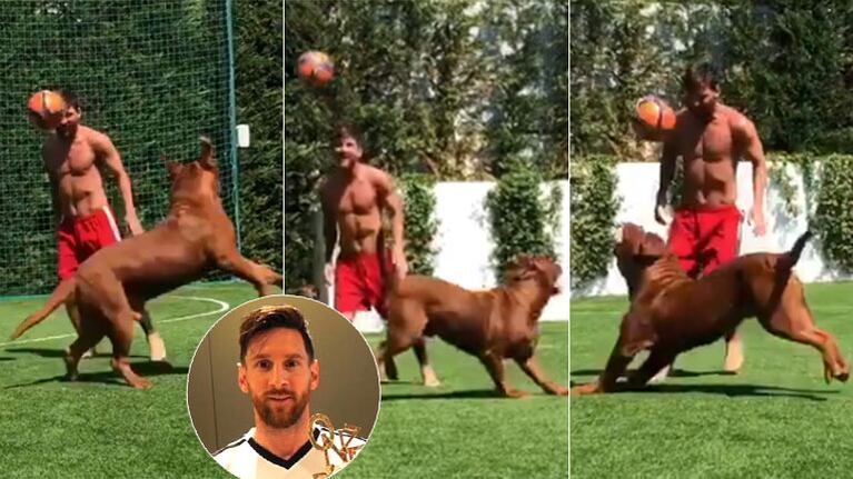 Lionel Messi y el video jugando a la pelota con su perro Hulk: los divertidos comentarios de sus hijos
