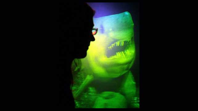 Lo nuevo: hologramas animados en 3D