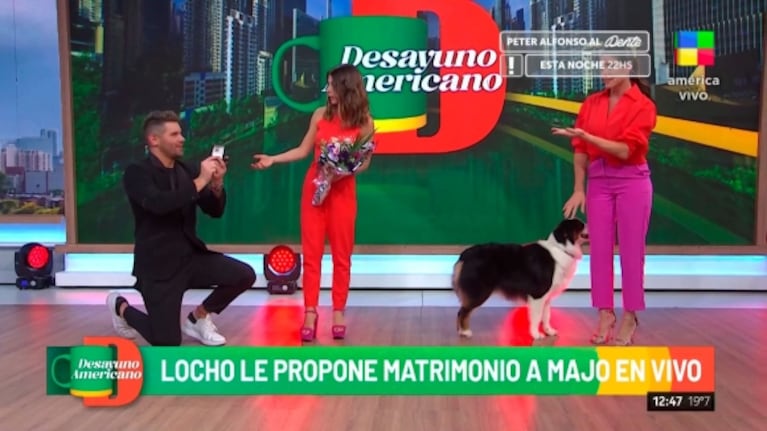 Locho Loccisano le pidió matrimonio a Majo Martino pero terminó siendo una broma: la reacción de ella 