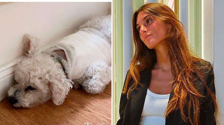 Lola Latorre, conmocionada luego de que un perro atacara a su caniche Toto: Me asusté mucho