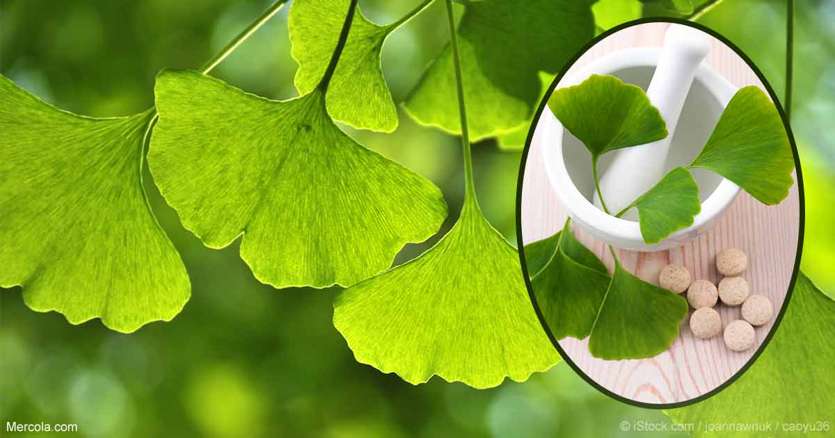 Los beneficios del Ginkgo Biloba para el cuidado de la piel