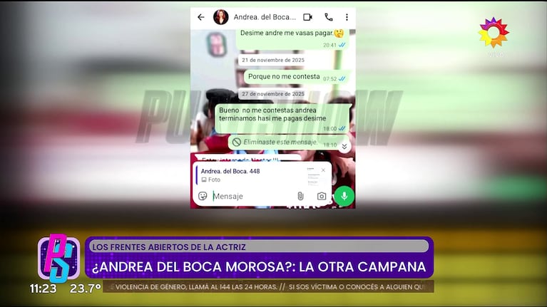 Los chats que comprometen a Andrea del Boca por no pagarle a los pintores de su casa.