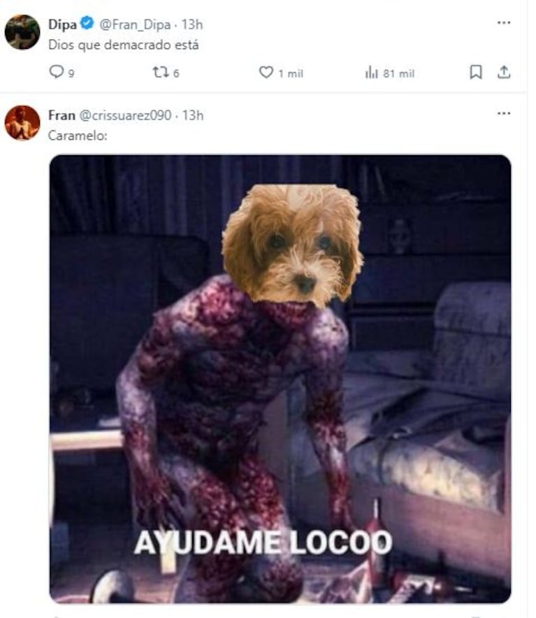 Los comentarios sobre el aspecto del perrito Caramelo en las redes (Foto: Twitter)