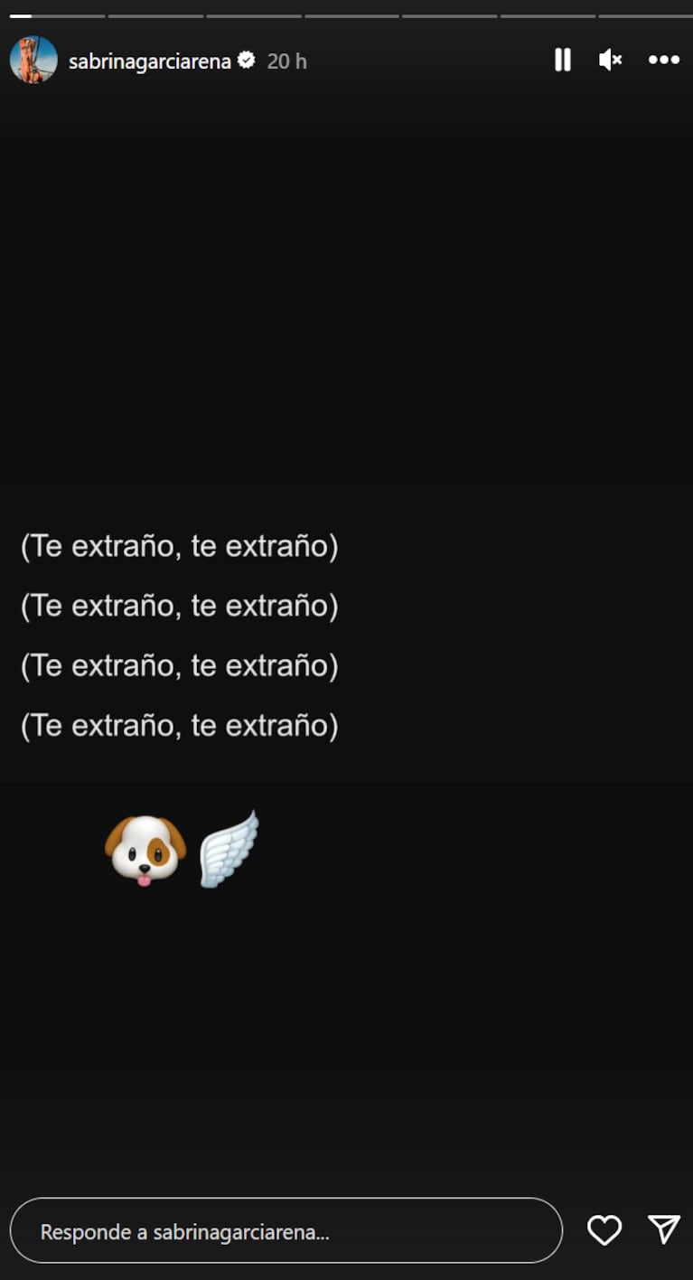 Los desgarradores posteos de Sabrina Garciarena por la muerte de su perro: “Te extraño”