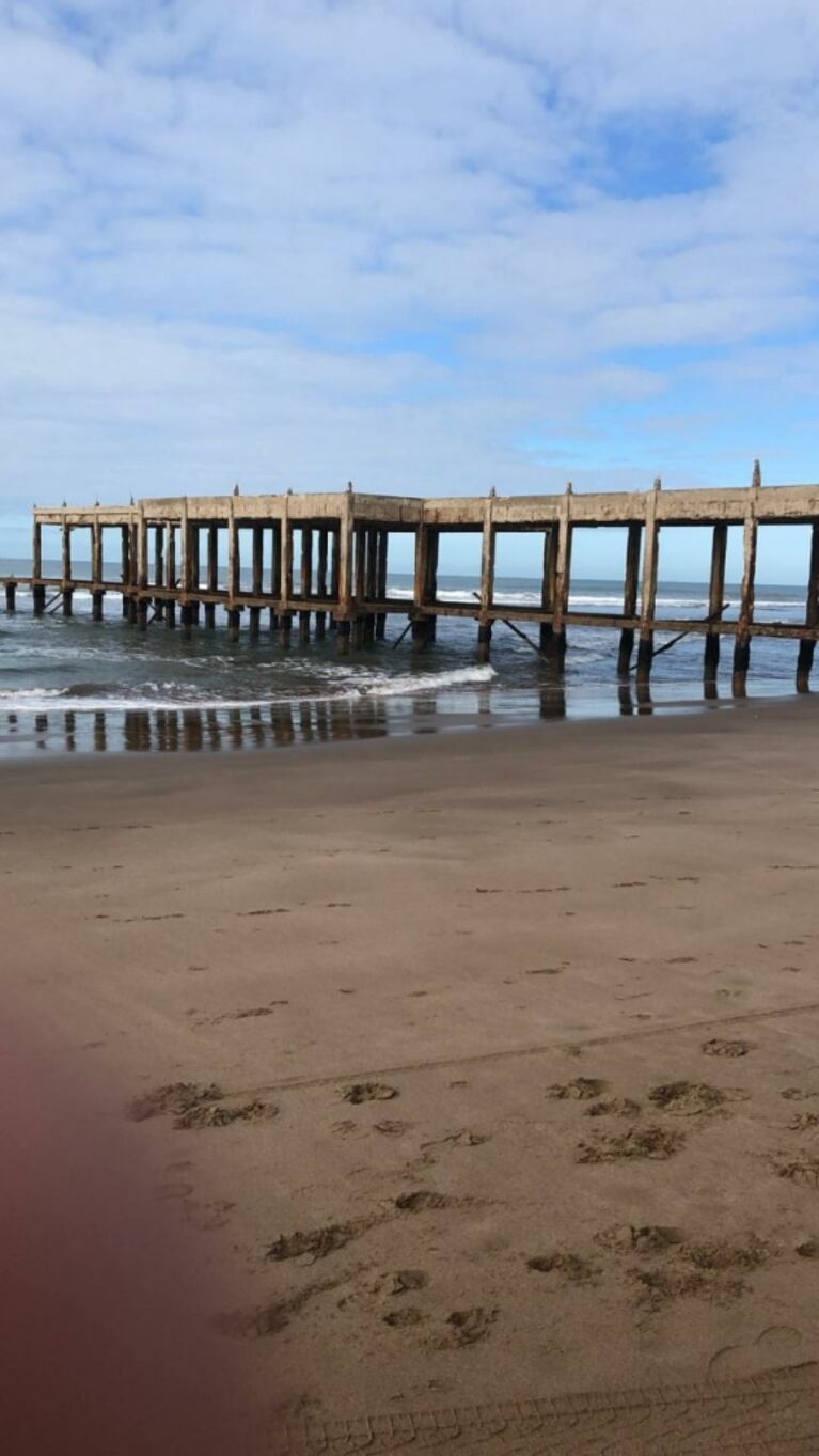 Los días de Marcelo Tinelli y Guillermina Valdés, con Lolo en Necochea: mimos en el mar y rica gastronomía 