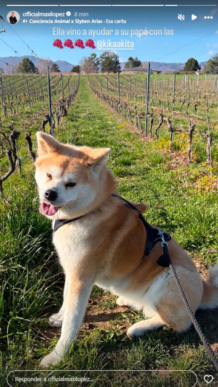 Los días en familia de Maxi López en Suiza (Foto: Instagram)