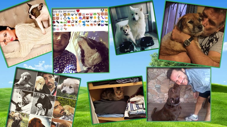 Los famosos junto a sus mascotas por el Día del Animal. Fotos: Instagram y Twitter.