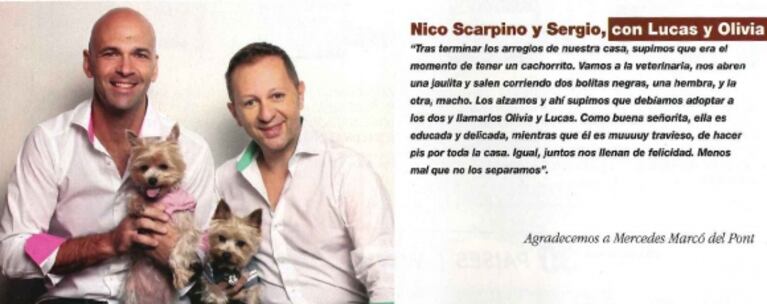 Los famosos presentaron a sus simpáticas mascotas: perros, gatos, conejos, hurones... ¡y hasta tarántulas!