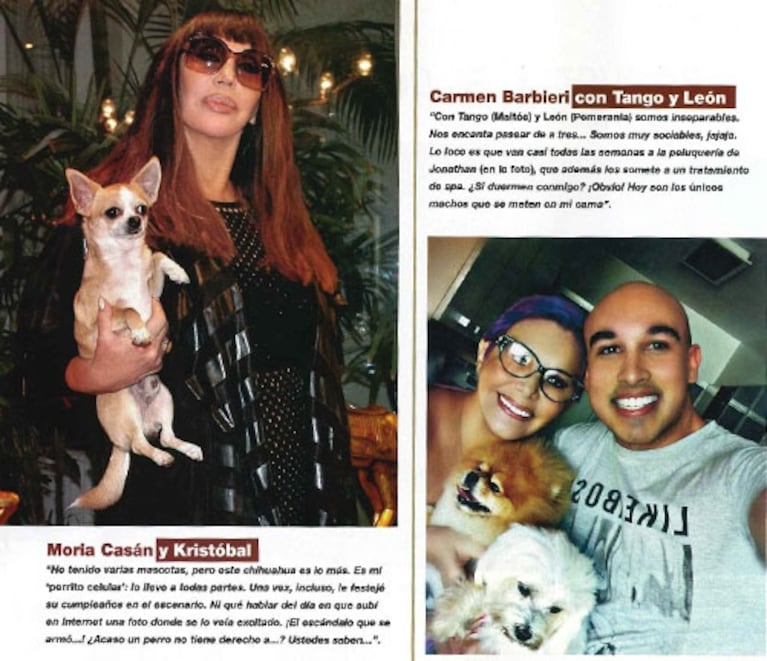 Los famosos presentaron a sus simpáticas mascotas: perros, gatos, conejos, hurones... ¡y hasta tarántulas!