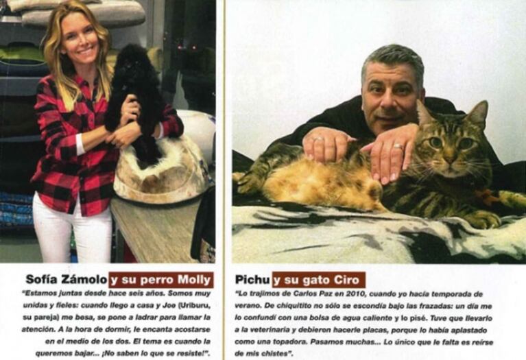 Los famosos presentaron a sus simpáticas mascotas: perros, gatos, conejos, hurones... ¡y hasta tarántulas!