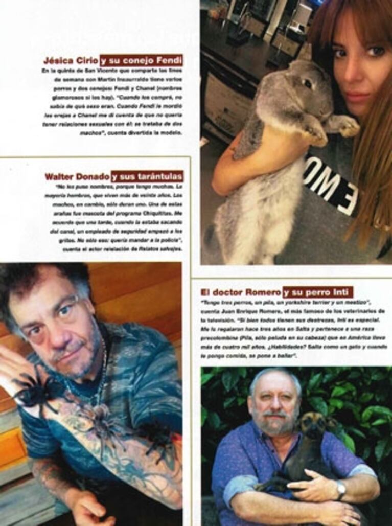 Los famosos presentaron a sus simpáticas mascotas: perros, gatos, conejos, hurones... ¡y hasta tarántulas!