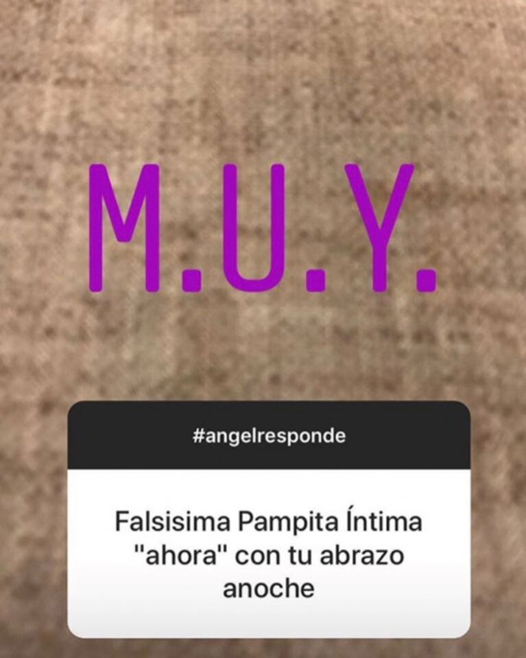 Los filosos mensajes de Ángel de Brito tras su reconciliación con Pampita en ShowMatch: "No la quiero"