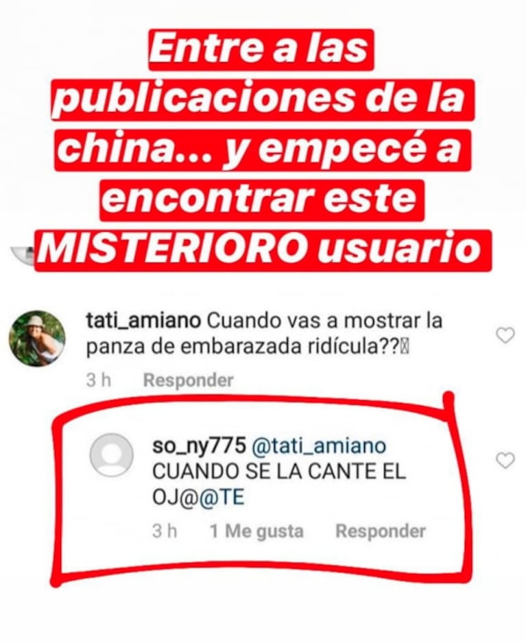 Los llamativos perfiles falsos que defienden a China Suárez: los comentarios más explosivos contra Pampita