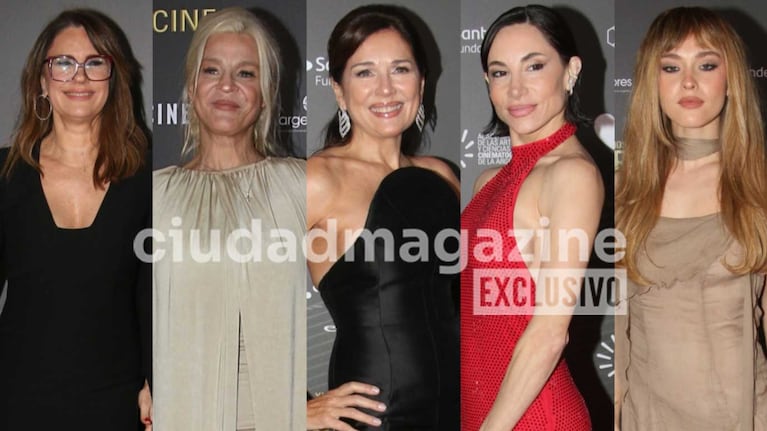 Los mejores looks de los Premios Sur (Fotos: Movilpress)