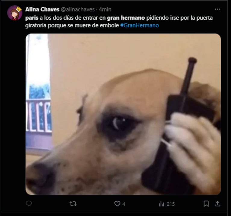 Los mejores memes de la entrada de la perrita Paris a Gran Hermano