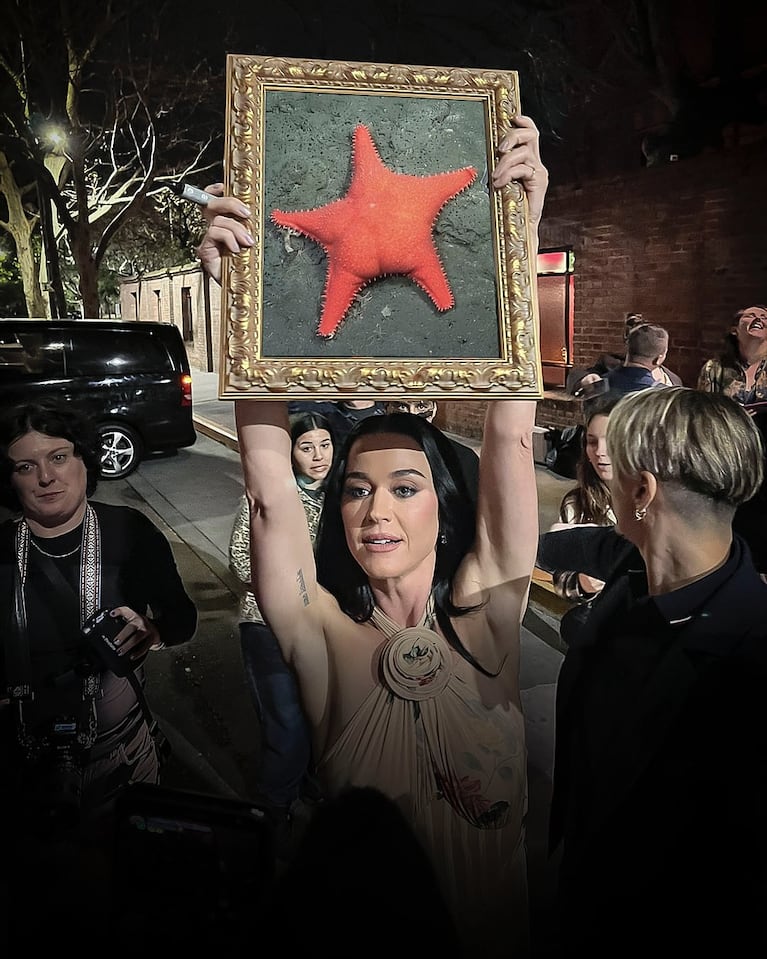 Los mejores memes tras la foto viral de Katy Perry con el cuadro de Evita | Créditos: Instagram @somosgelatina