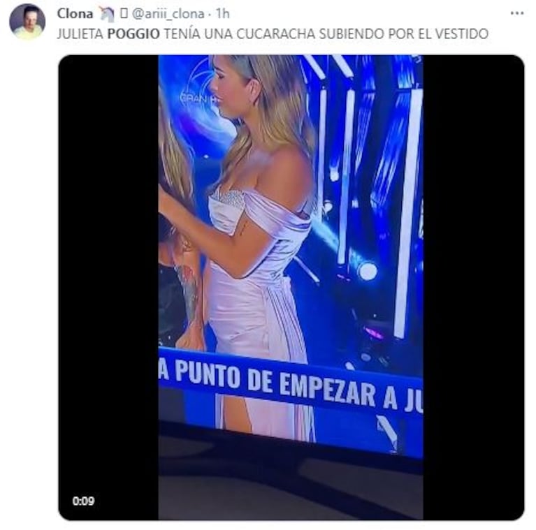 Los memes de la cucaracha de Julieta PoggIo en Gran Hermano 2023 (Foto: Twitter / X)