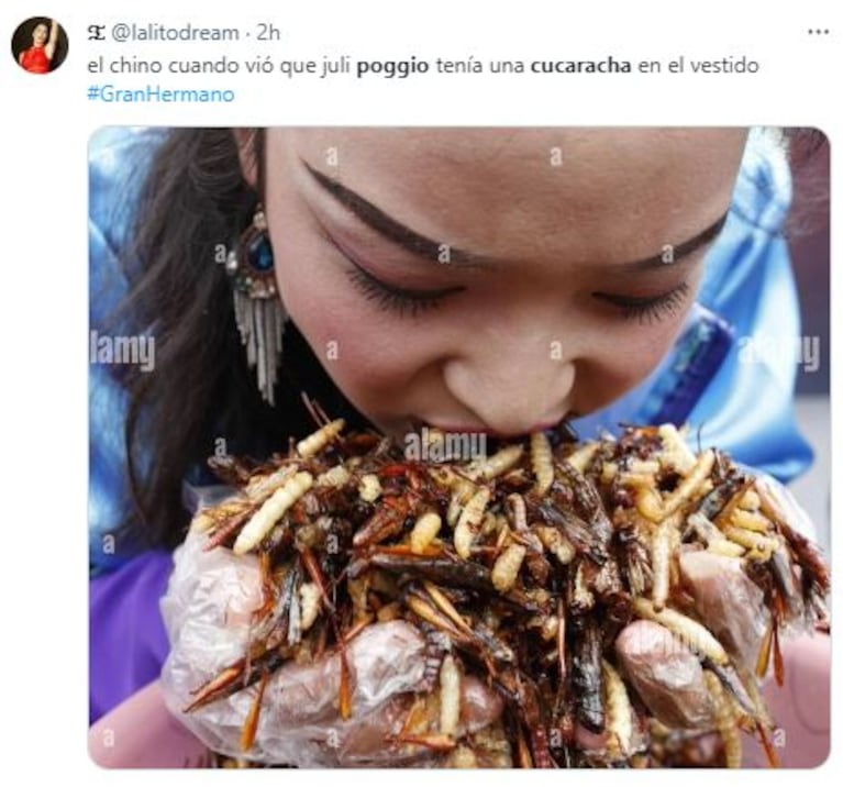Los memes de la cucaracha en el vestido de Julieta Poggio en Gran Hermano (Imagen: Twitter/X)