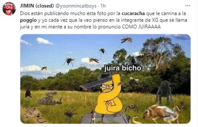 Los memes de la cucaracha en el vestido de Julieta Poggio en Gran Hermano (Imagen: Twitter/X)