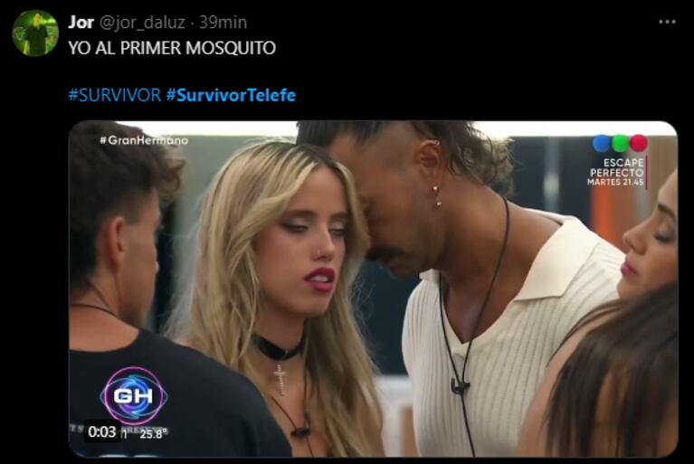 Los memes del inicio de "Survivor". (Foto: X)