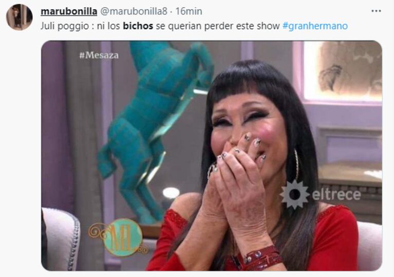 Los memes por la cucaracha en el vestido de Julieta Poggio en "Gran Hermano 2023". (Foto: Twitter)