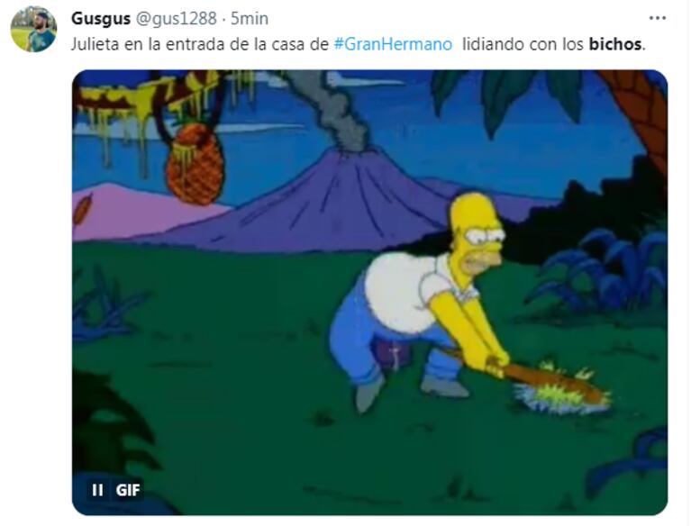 Los memes por la cucaracha en el vestido de Julieta Poggio en "Gran Hermano 2023". (Foto: Twitter)