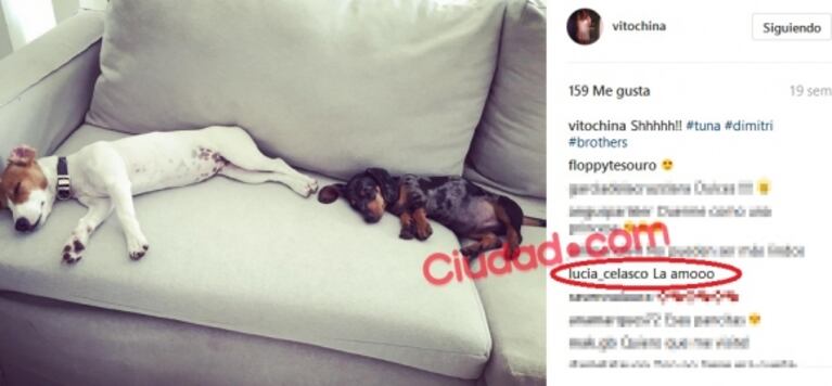 Los mensajes de Lucía Celasco en el Instagram de Vito Rodríguez, antes de la furiosa reacción de Mecha Sarrabayrouse con la pareja de su ex