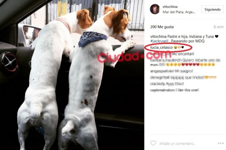 Los mensajes de Lucía Celasco en el Instagram de Vito Rodríguez, antes de la furiosa reacción de Mecha Sarrabayrouse con la pareja de su ex