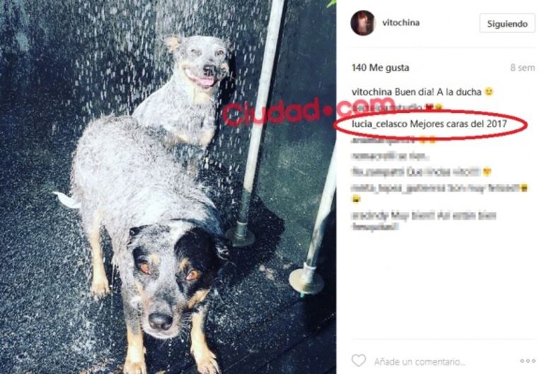 Los mensajes de Lucía Celasco en el Instagram de Vito Rodríguez, antes de la furiosa reacción de Mecha Sarrabayrouse con la pareja de su ex