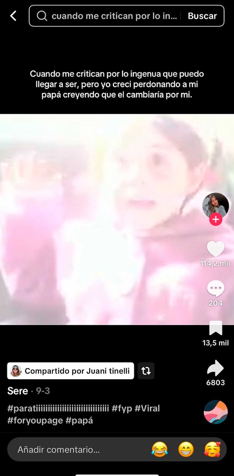 Los posteos de Juanita Tinelli sobre su papá (Fotos: capturas TikTok)