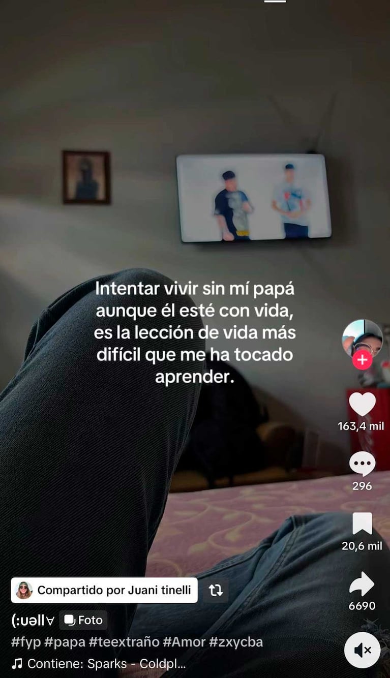 Los posteos de Juanita Tinelli sobre su papá (Fotos: capturas TikTok)