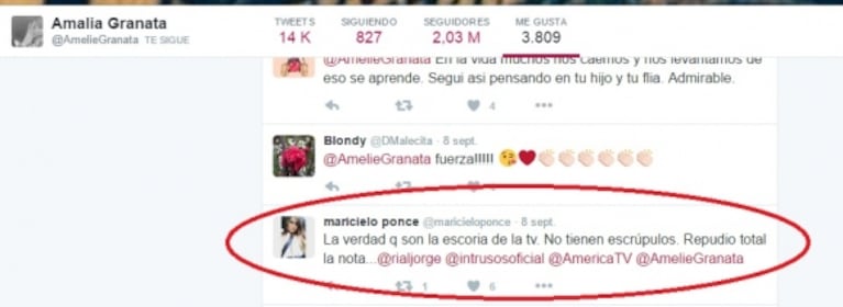 Los tremendos tweets contra Rial que Granata marcó como "me gusta"