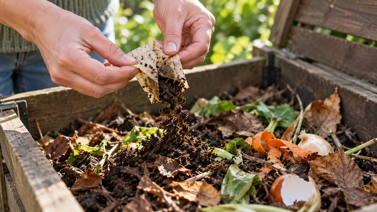 Los usos de los saquitos de té que ayudan a mejorar las plantas. Foto: IA