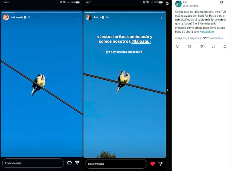 Los usuarios de redes sociales están atentos a las publicaciones de Luck Ra y Tuli Acosta (Foto: X / @cici_anfitrite)