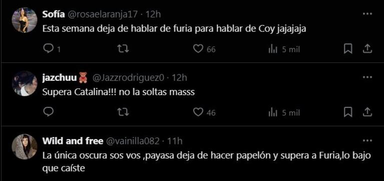 Los usuarios de X contra Catalina Gorostidi.